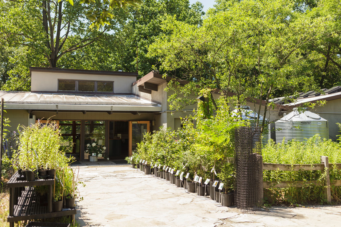 Photo: Schuylkill Center For Environmental Education